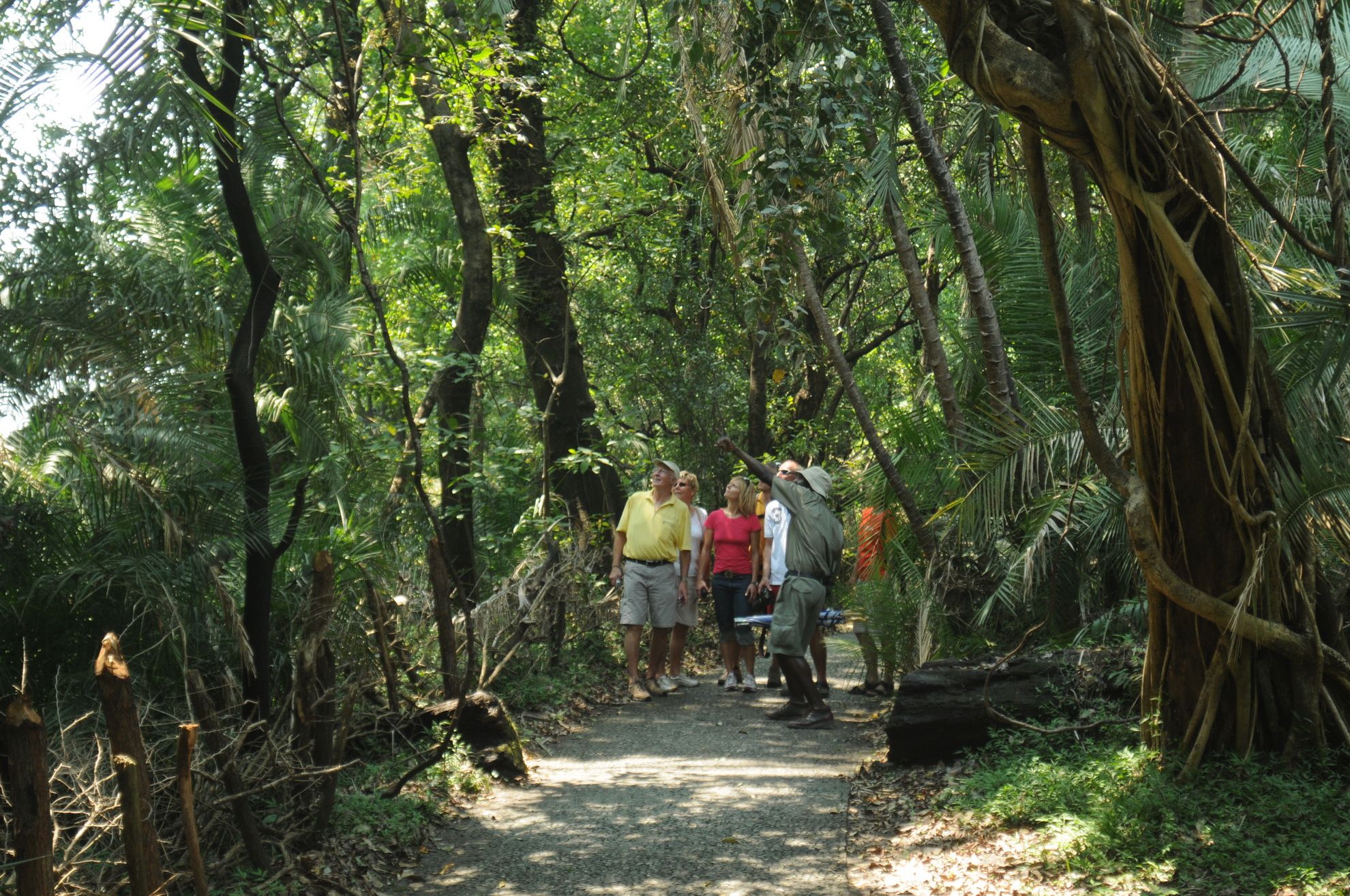 Guided Tour of the Falls